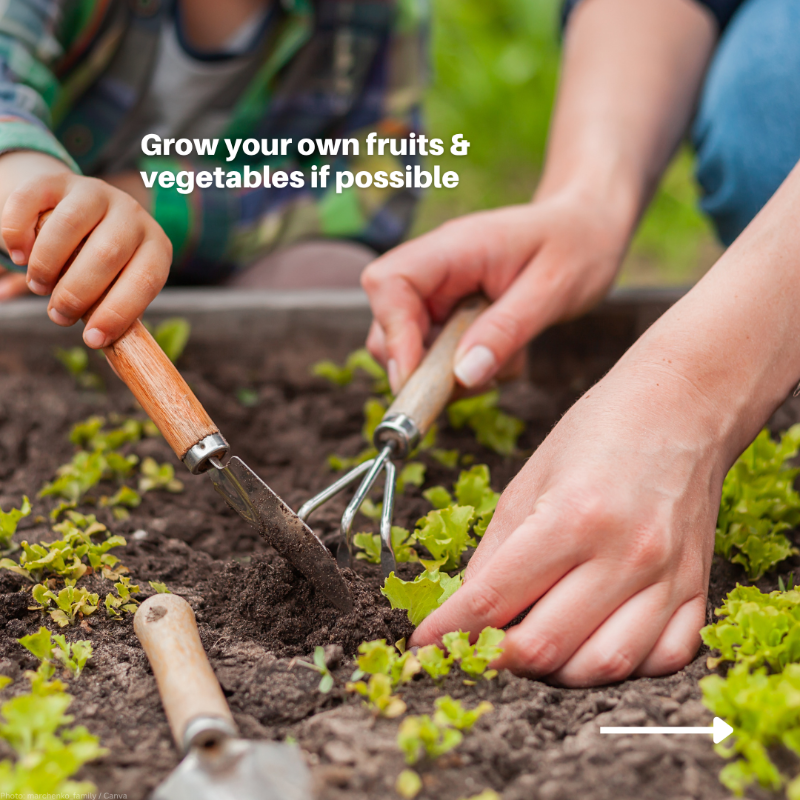 UNEP's tweet photo. We all have the power to reduce food loss and waste.

Even small actions add up. By wasting less, we protect the planet and help ensure more food reaches the people who need it most.

Slide through for simple, impactful tips to #StopFoodLossandWaste.

#FLWday