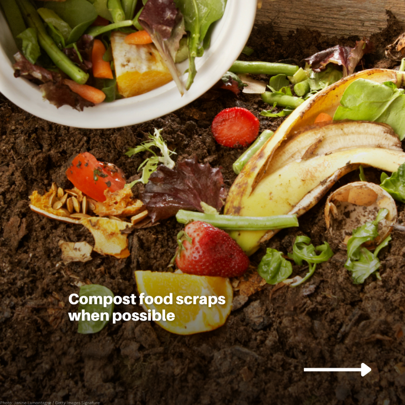 UNEP's tweet photo. We all have the power to reduce food loss and waste.

Even small actions add up. By wasting less, we protect the planet and help ensure more food reaches the people who need it most.

Slide through for simple, impactful tips to #StopFoodLossandWaste.

#FLWday