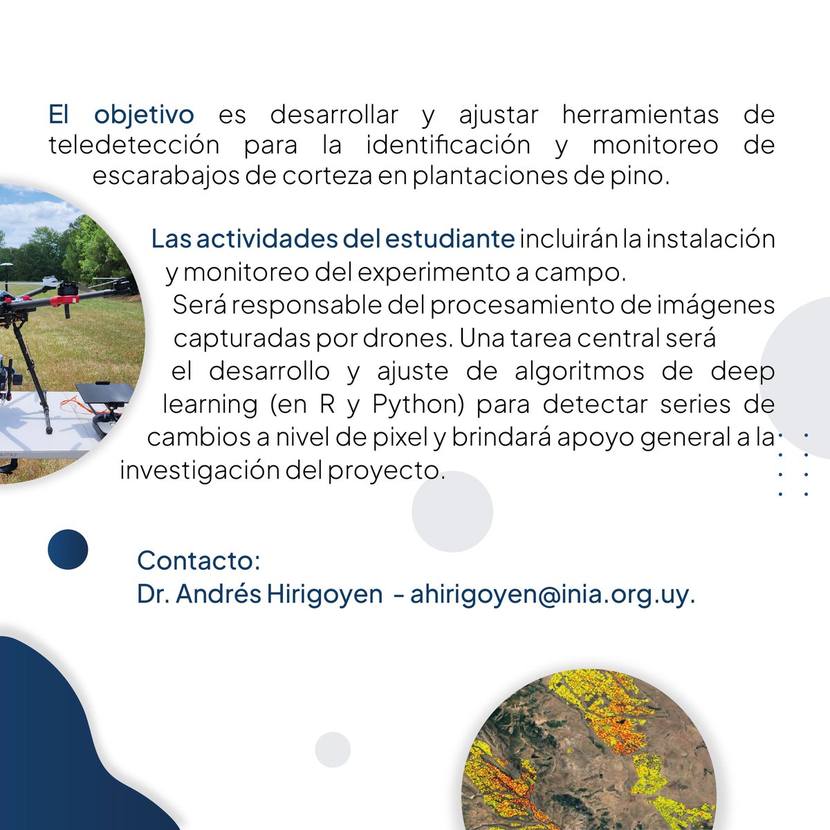 📣Beca de Maestría en Sanidad Forestal y Teledetección 
<a href="/INIA_UY/">INIA URUGUAY</a> y la <a href="/spforestales/">Sociedad de Productores Forestales</a> ofrecen una beca de maestría de 2 años en el marco del proyecto “PROFOR: Manejo sostenible de problemas sanitarios en el sector forestal”.

Por más información: ahirigoyen@inia.org.uy