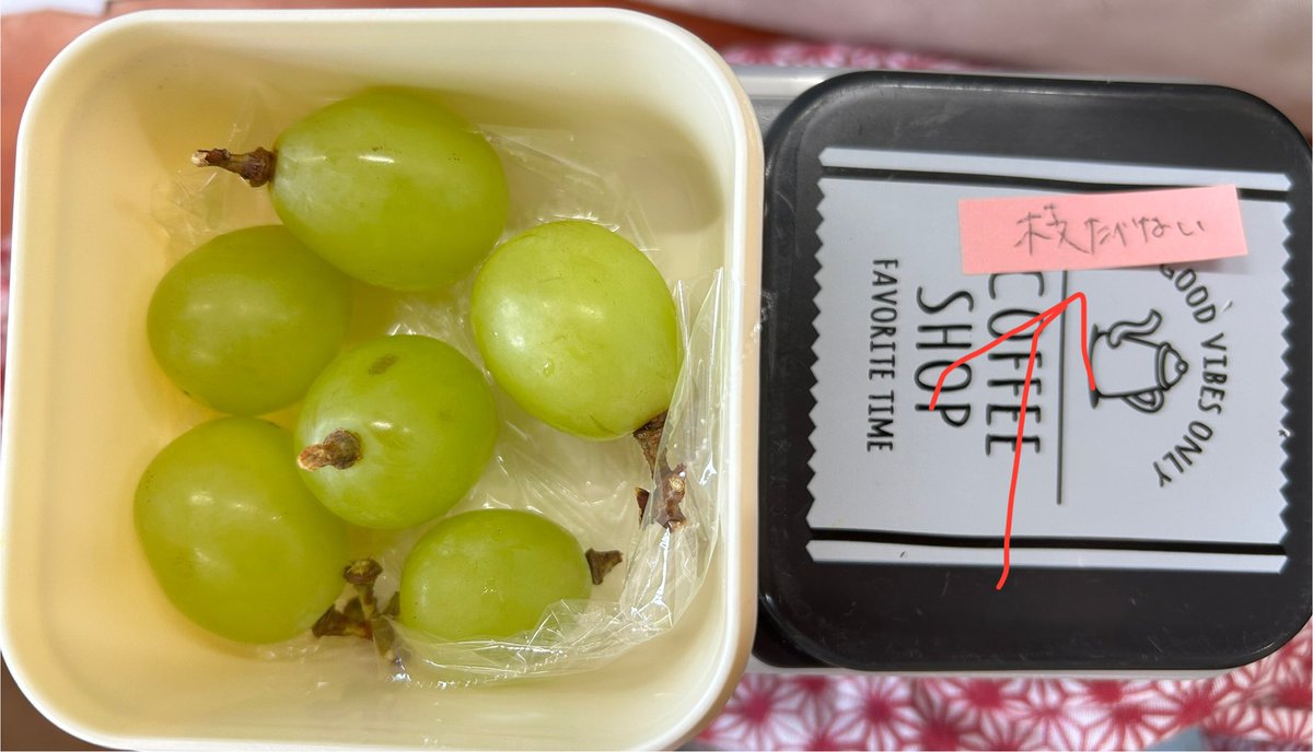 多分親からバカにされてる