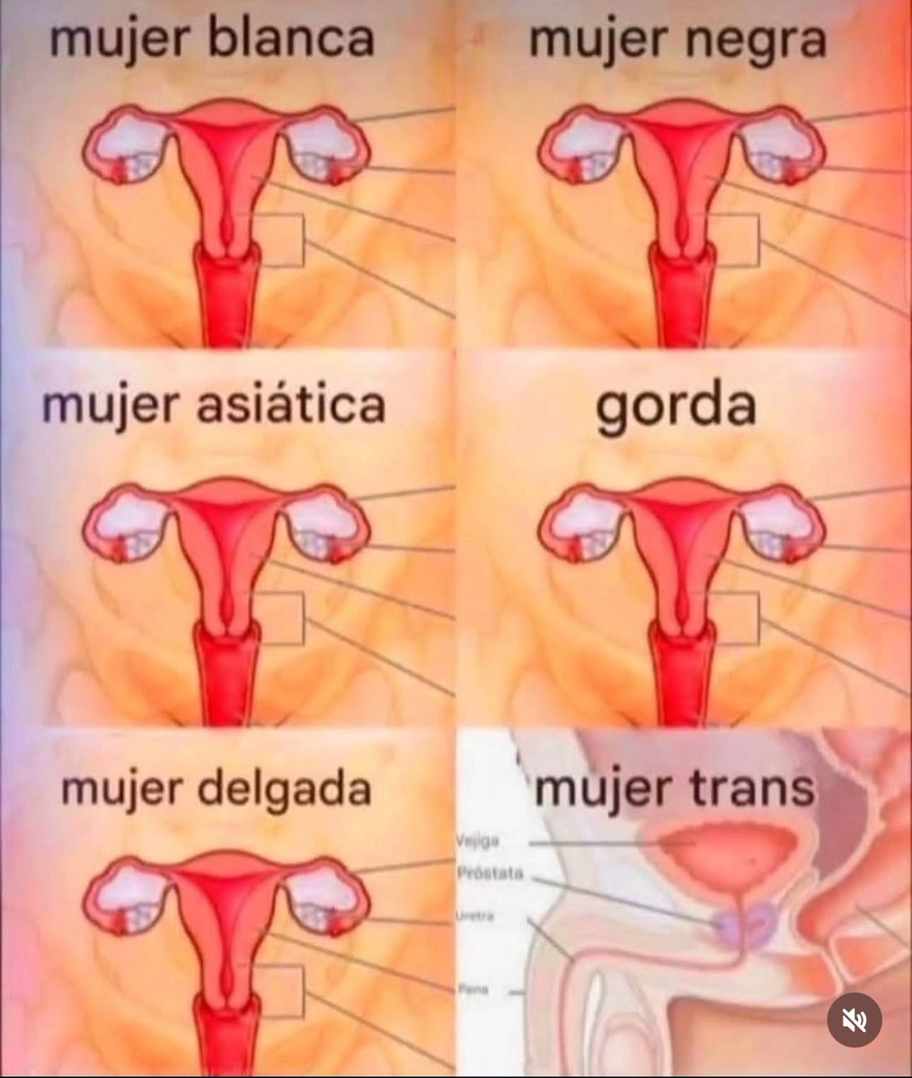 elevamiami's tweet image. Em cores