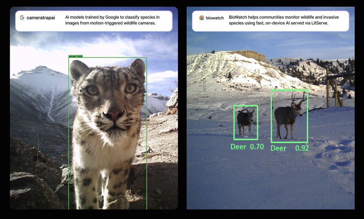 LightningAI's tweet image. Deploying GenAI models doesn’t need to take days. With LitServe, it happens in minutes.

Fast setup, flexible configs, and proven performance at scale. You can deploy to cloud, edge, or anywhere in between.

Founders and engineers are already using it for:
🧠 Physical AI…