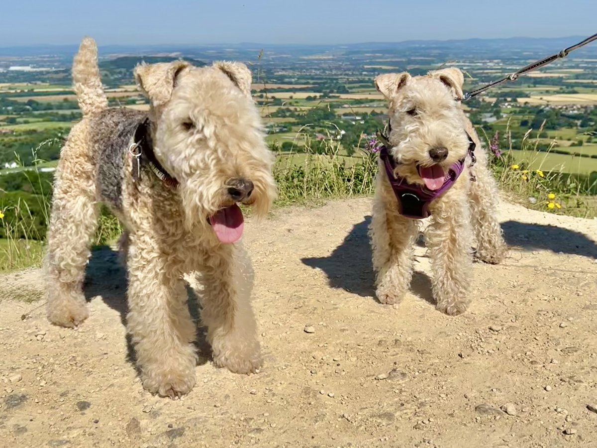 Bertie Lakeland tweet media