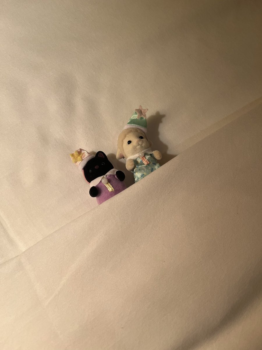 hoppemochi_'s tweet photo. シル活しました
よく眠ってね🐑 https://t.co/Y5A5EqZ9lJ
