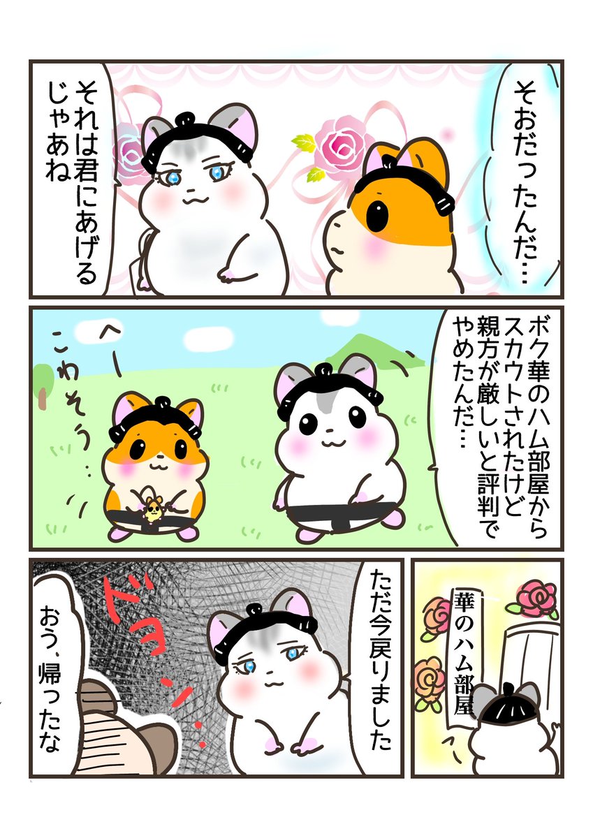 相撲ハムスターまんが🐹
どすこい❣️ハム琉72

「華のハム部屋🌸は怖そう?!」