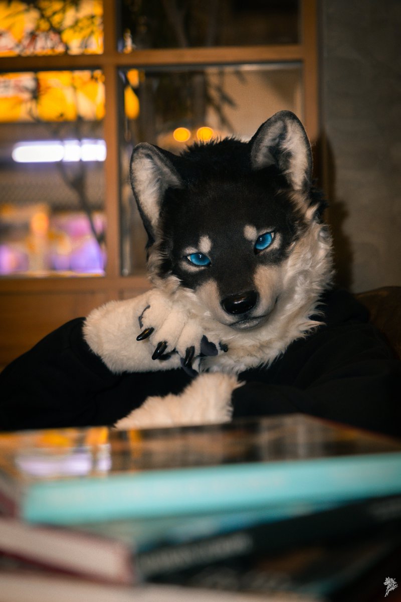 Miss me? 😊
📷 <a href="/chiuwolf/">Wolf Chiu</a> 
#顔だけで何リポスト来るか
#創造トリアノン