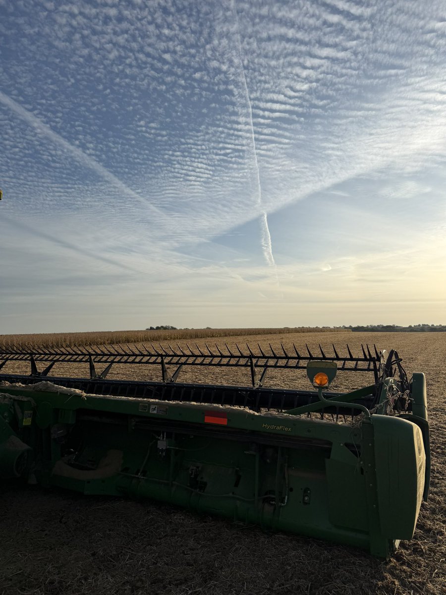 Hard to beat harvest and Asgrow beans 

<a href="/Asgrow_DEKALB/">DEKALB Asgrow Seed</a>