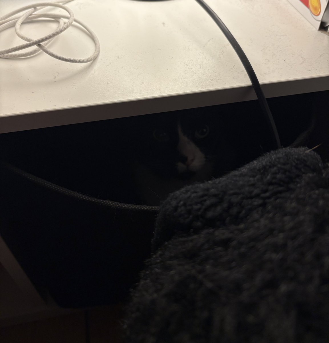 someone is watching me