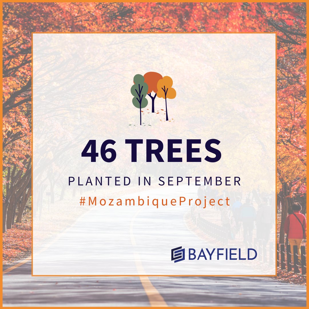 Bayfield Training tweet media