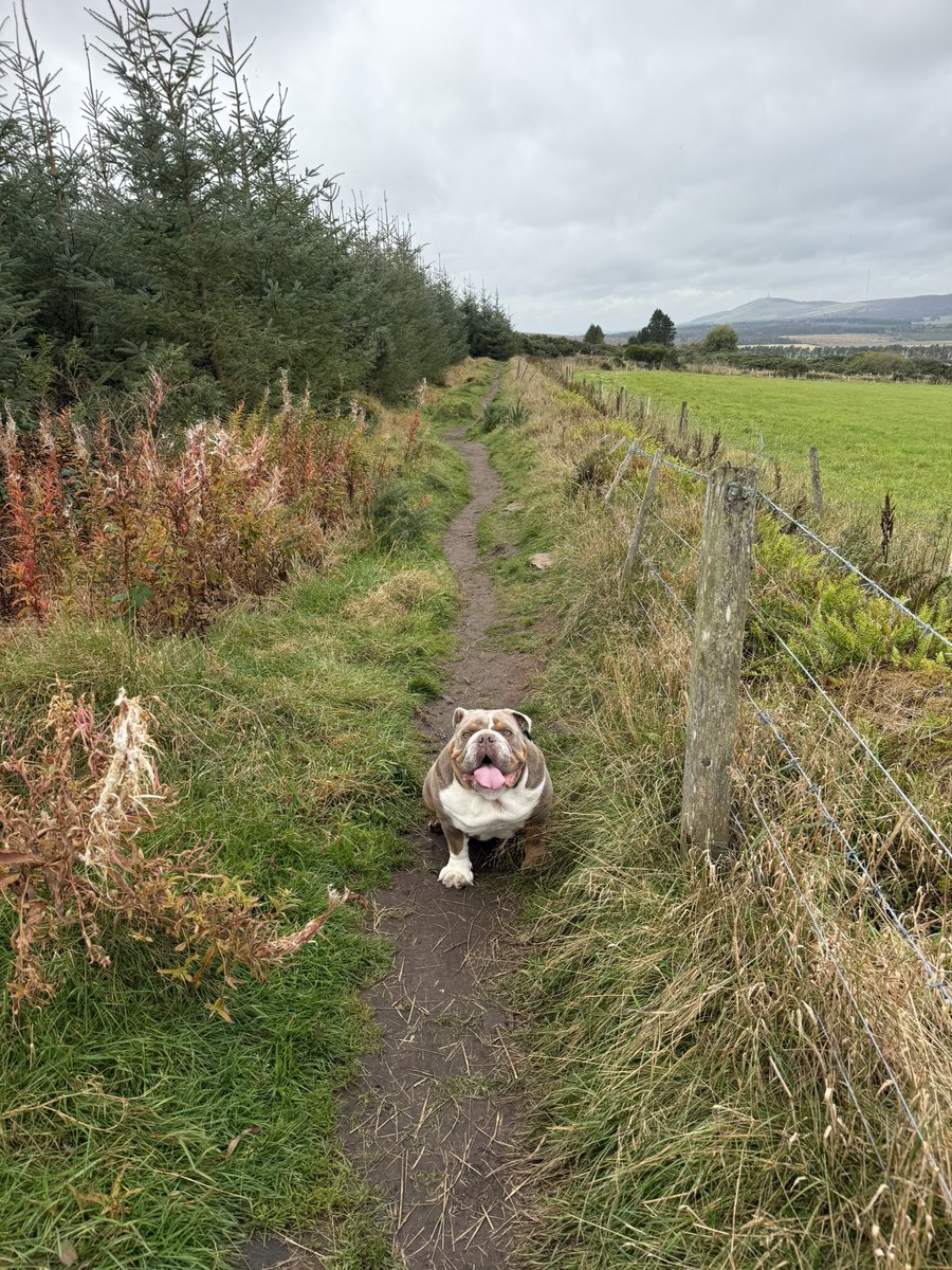 dundeered🇾🇪🔴⚪️⚫️ tweet media