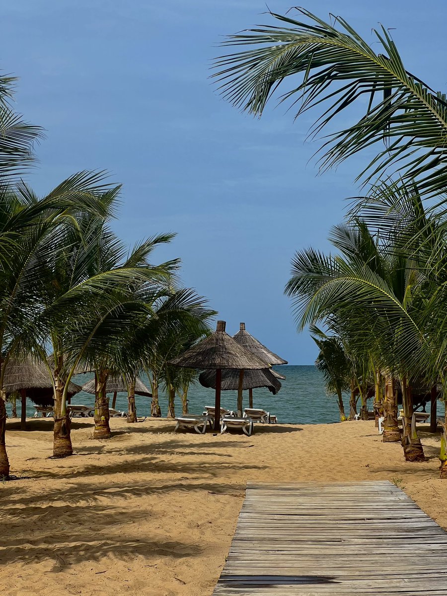 Weuz🇸🇳⚓️ tweet media