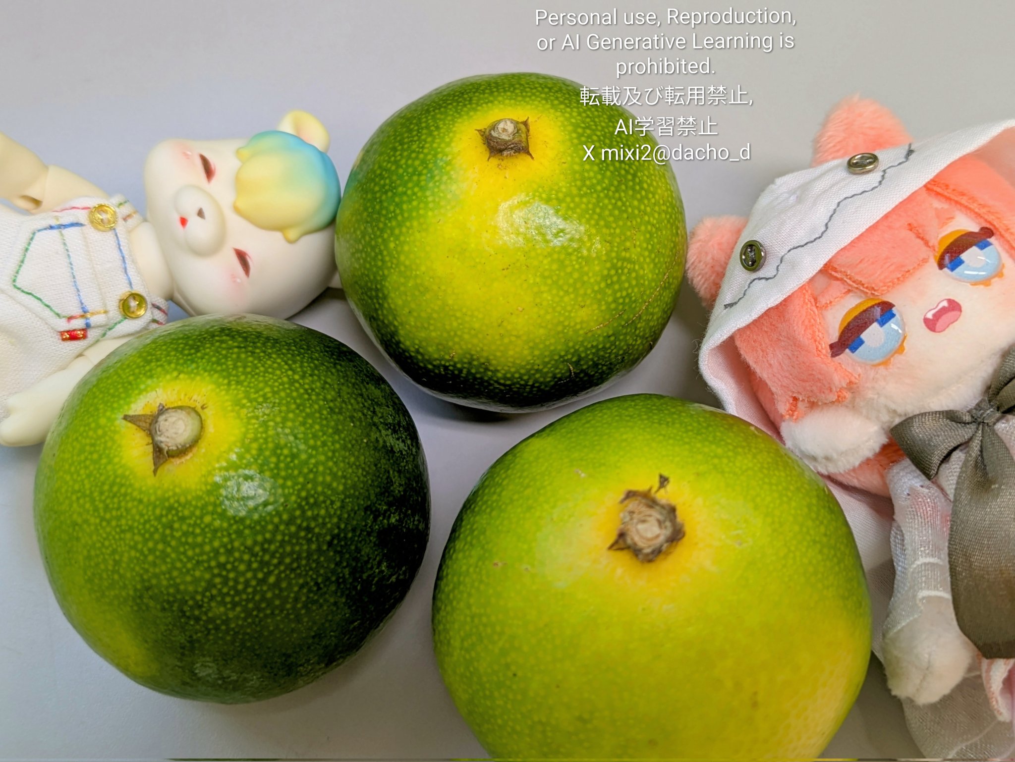 雨鳥トトリ on X: 