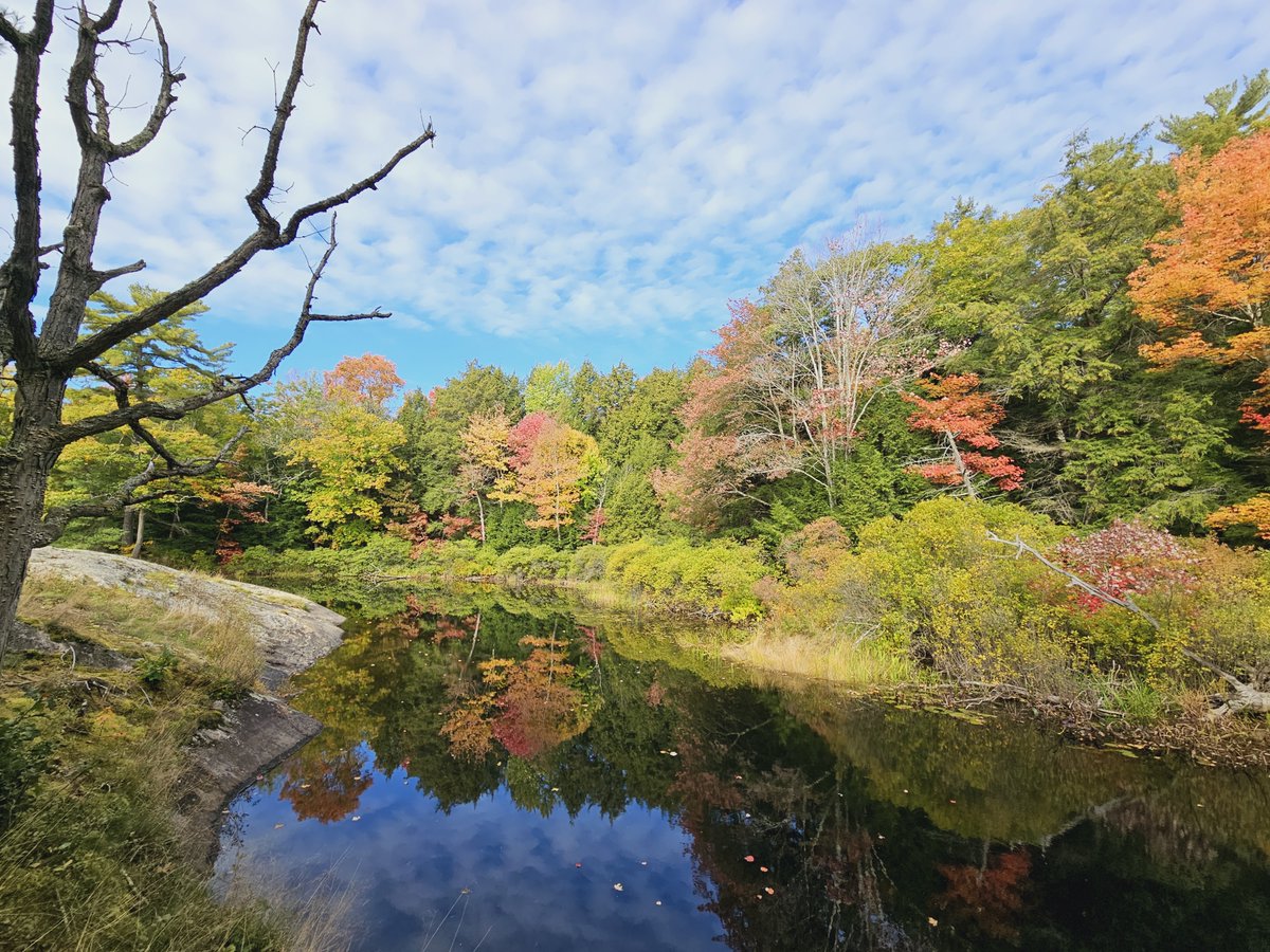 Lasting and meaningful reconciliation is an ongoing process and a shared responsibility for all of us. Our staff will be taking time to listen, learn, and reflect, and we invite all parks-lovers to join us:

blog.ontarioparks.ca/journey-toward… 

#NDTR #truthandreconciliationday