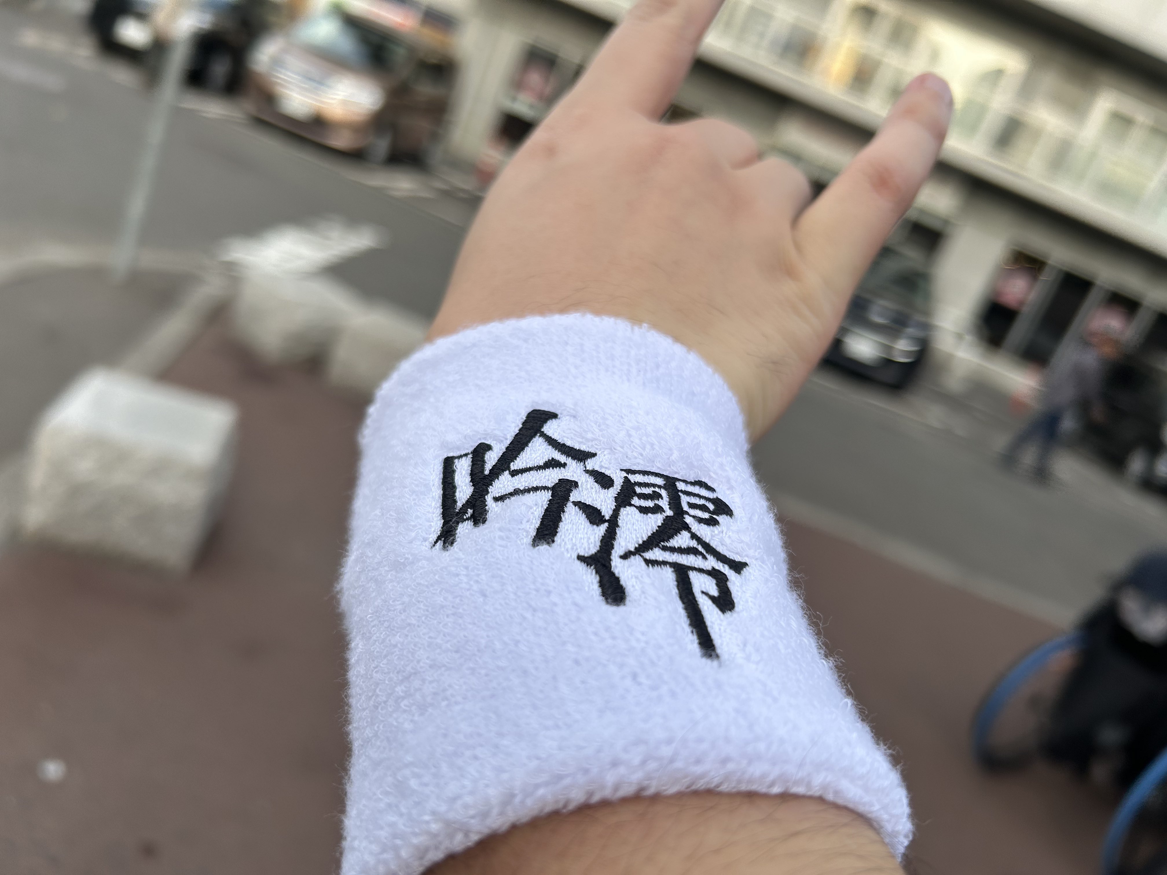 陰陽座 - Search / X