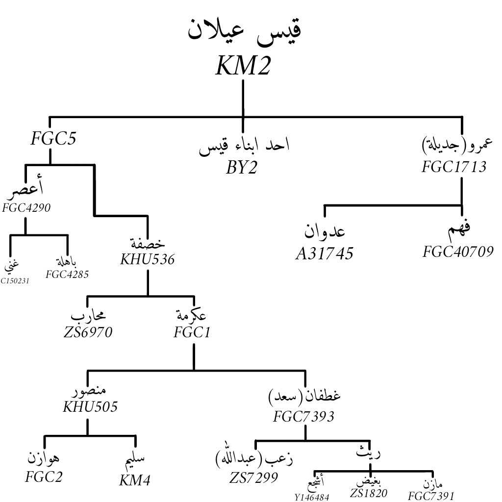 أَبُوالفَازِعَة القَيْسِيّ tweet media