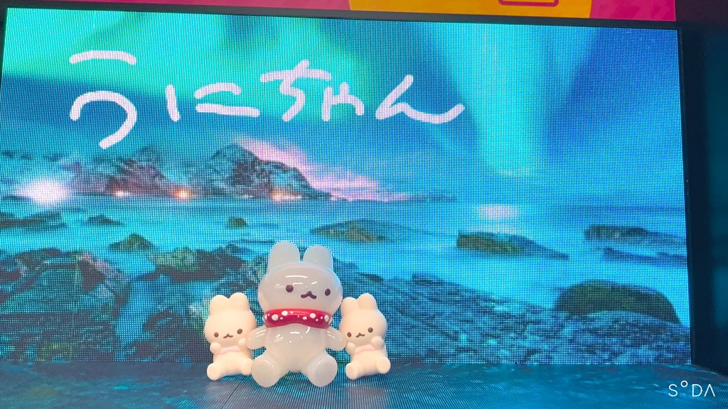 うにちゃん 北海道編🦭