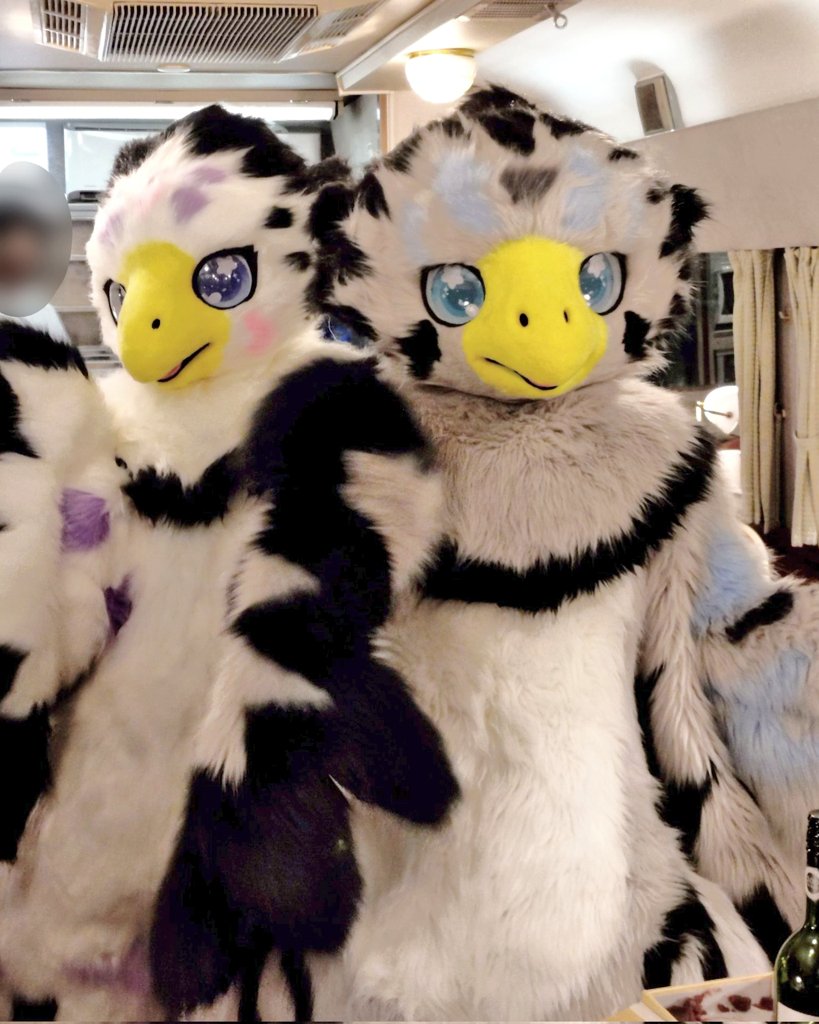 Yuitoru730's tweet image. ユメノバ~北斗星車内~

レムフ君と一緒に撮ったよ🪽"