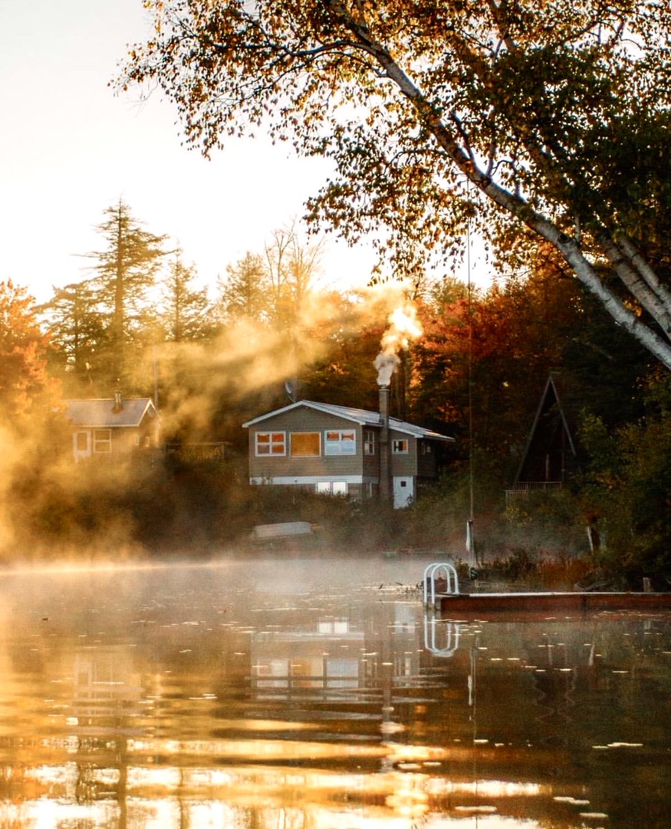 Buenos días y tarde para todos _. 

"Regocíjate en la luz del sol".

    Martin Luskin King.

Mi📸
©️Apn. 

Gracias por los rt’s y like.