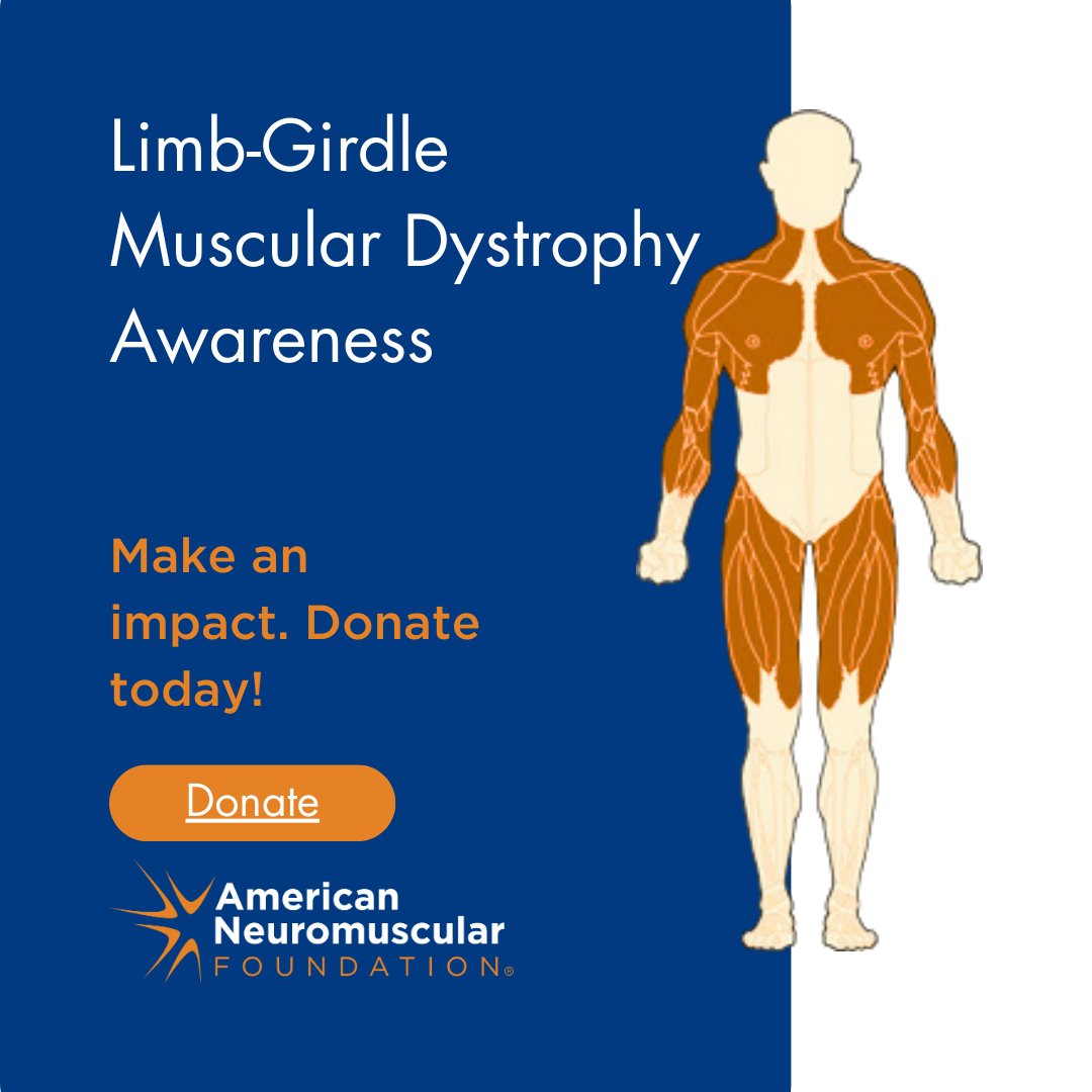 Today Limb-Girdle Muscular Dystrophy Awareness Day! 🧡 

Join us in raising awareness and supporting the fight for a cure. Your donation to the ANF can make a world of difference in advancing research and providing hope to those affected.
➡️Donate: ow.ly/l7v950TeuZB