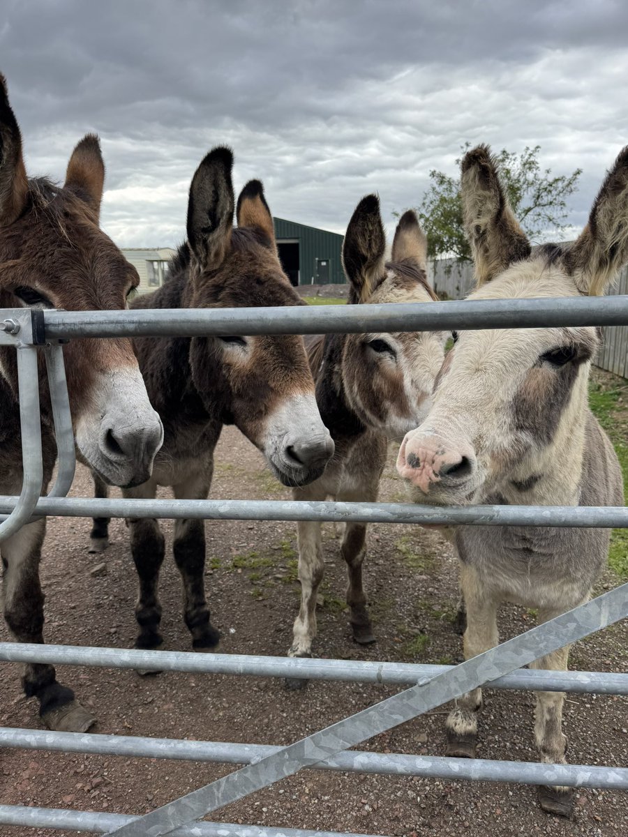 SpanielsSuper's tweet photo. Mum’s cheating on us 😱💔
#HowCouldShe https://t.co/cOOlDpql9W