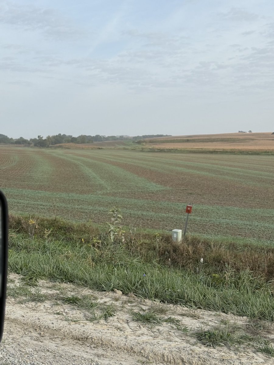 Can farmers get cost share when using soybeans as a cover crop?