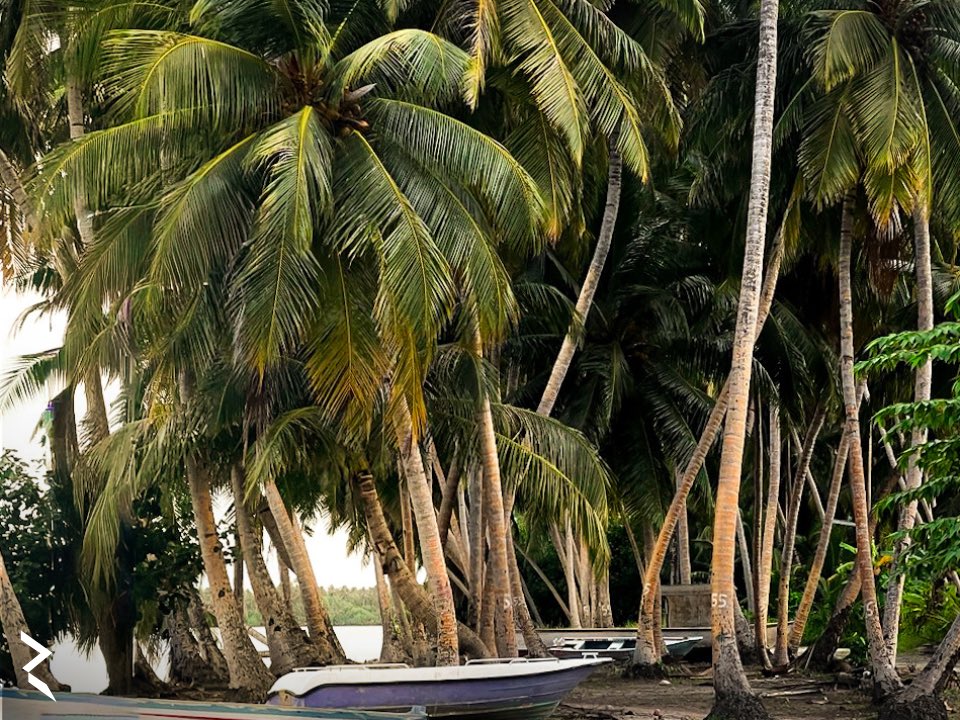 Dhanbidhoo Plans Ahead 🏝️ 

Fishing and farming sustain daily life here. Now, through close collaboration on the Land Use Plan between Riyan and the council, #Dhanbidhoo has a 20-year roadmap for resilience, prosperity &amp; self-sufficiency.

#RiyanPvtLtd #maldives #laamu #planning