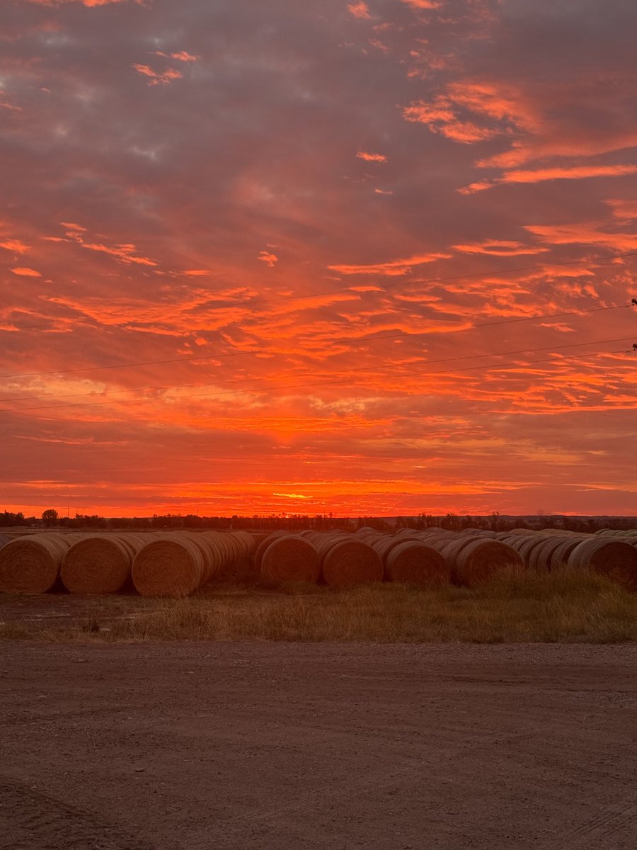 This morning is a beauty. I think I’d better have another coffee and watch this sunrise play out!