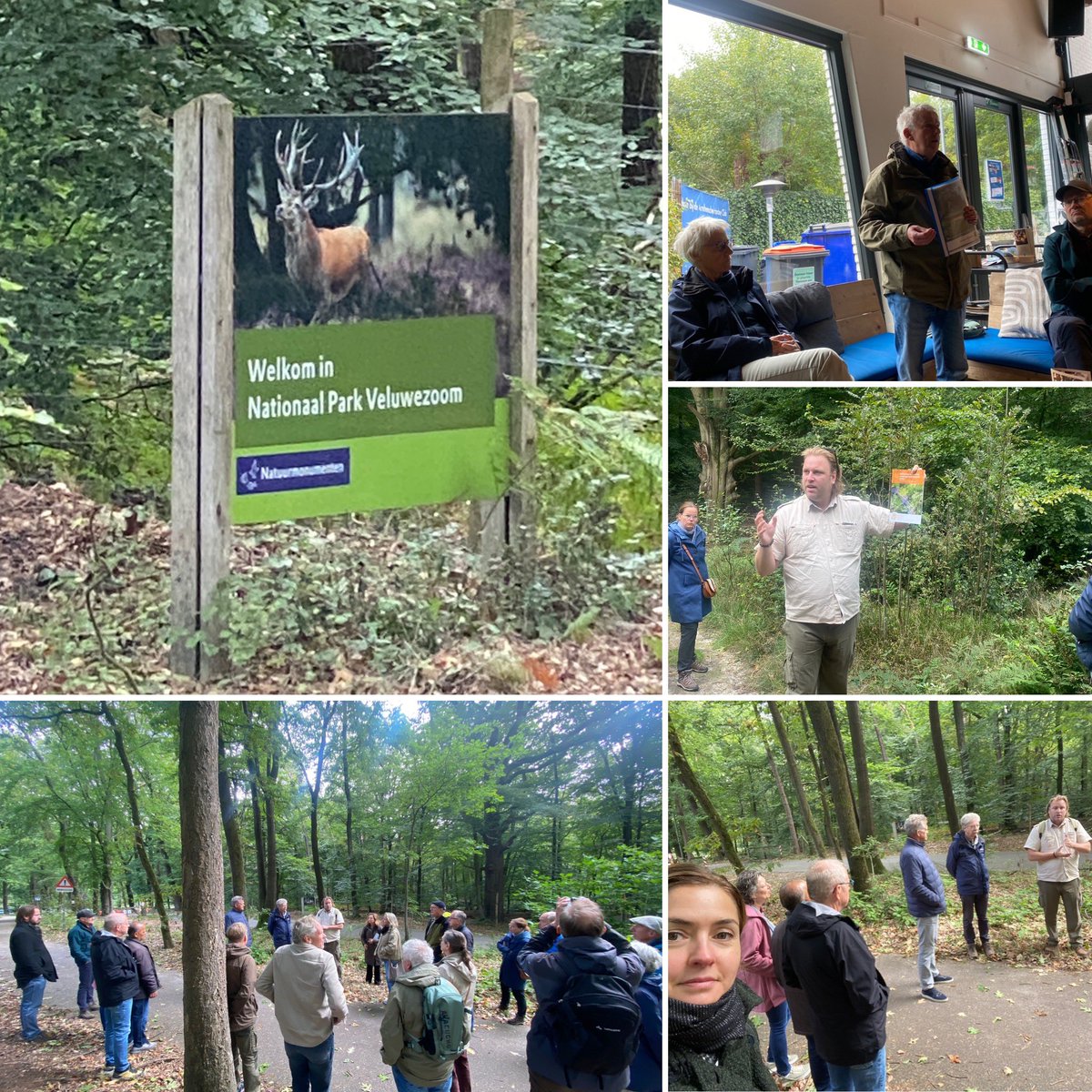 VDRheden's tweet photo. 🌳Afgelopen vrijdag gingen wij, op uitnodiging van Stichting Natuurbehoud Veluwezoom, met meerdere raadsfracties kijken bij de ontwikkelingen rond camping Beekhuizen. (Een draadje… 1/7) https://t.co/FqFjz2Yw1m