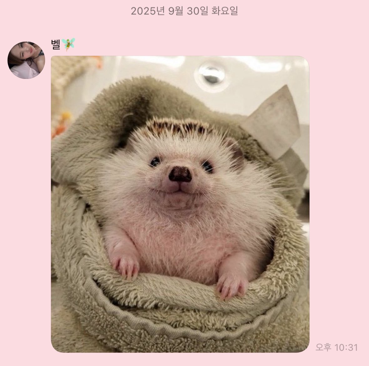 푸하하 귀여워 ㅜㅜㅜㅜㅜ