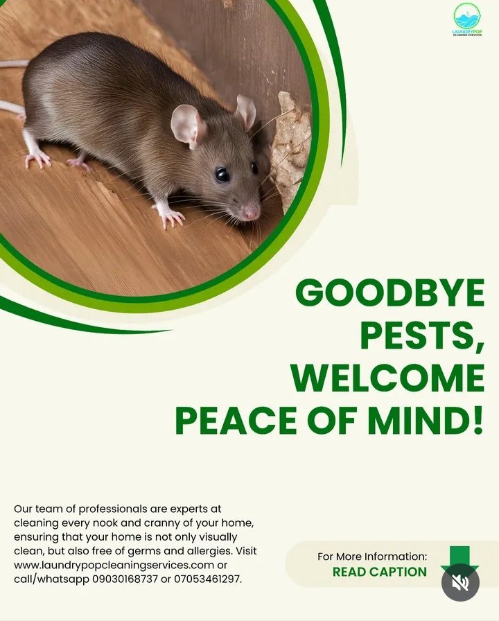 laundrypop_ng's tweet photo. Our service doesn’t just remove pests — it restores your comfort, safety, and confidence at home or work. You no longer have to worry about bugs, bites, or damage.

For enquiries call 09030168737/07051240984

https://t.co/pwyWXM1c1A https://t.co/BLnIWii33L