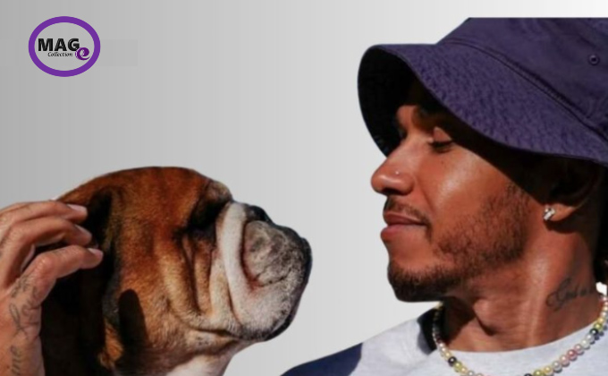 🟣 #Salud | ¿Cómo afecta a la salud la muerte de una mascota?

e-magazine.mx/ver_noticia.ph…