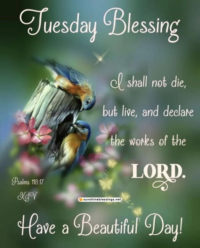 BurgessLelia's tweet photo. I Believe God!!!🙌🏽🙌🏽🙌🏽❤️🙏🏽😃 https://t.co/3SO05ToGJo