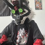 Photo by Kouta Sky Kitsune (@koutaoni)