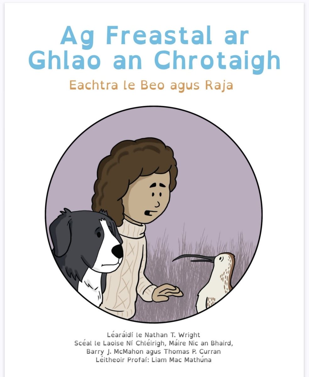 Lisa Nic An Bhreithimh🇵🇸🏳️‍🌈🇮🇪🏳️‍⚧️ she/her tweet media