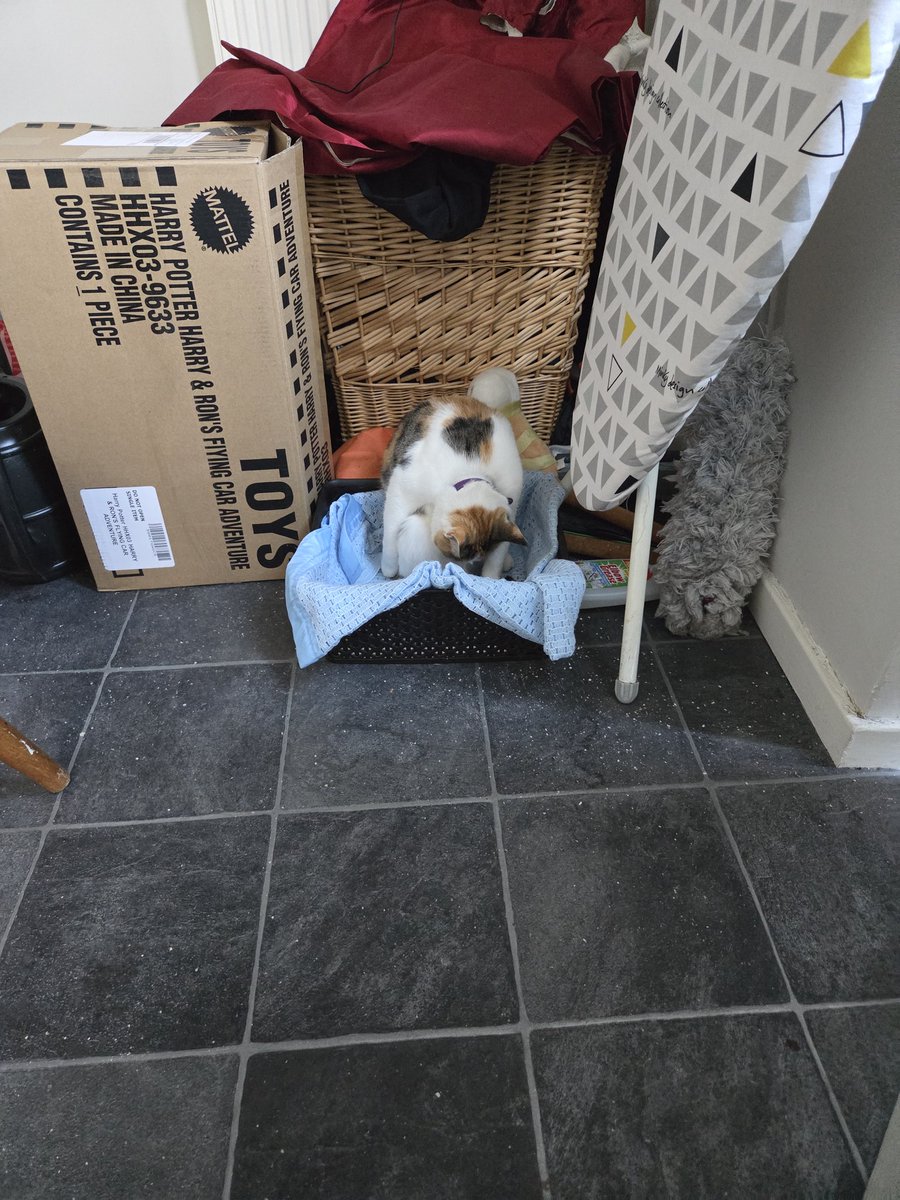 Father John Swinhoe SSC tweet media