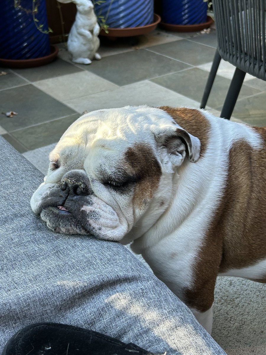 When you just need to close your eyes for a few minutes.