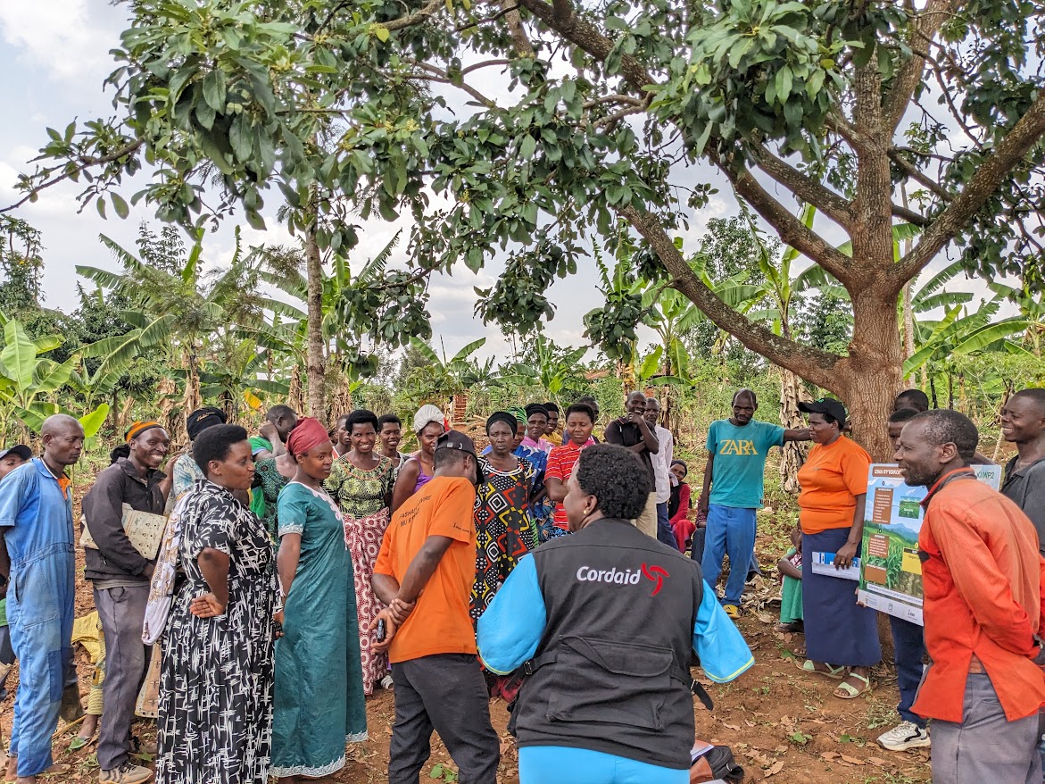 CordaidRwanda's tweet photo. As Rwanda’s 2026A agricultural season takes off, its success will depend not only on good agricultural practices, but also on embedding a strong business mindset at the heart of farming.

Under #KIIWP2, we’ve ensured that @KayonzaDistrict farmers intertwine “Farming as a Business” into their farming cycle.

Through @Cordaid’s Farming as a Business (FaaB) model, farmers are empowered to plan strategically, envision growth, and manage their farms as thriving enterprises — transforming into planners, strategists, visionaries, and ultimately, entrepreneurs.