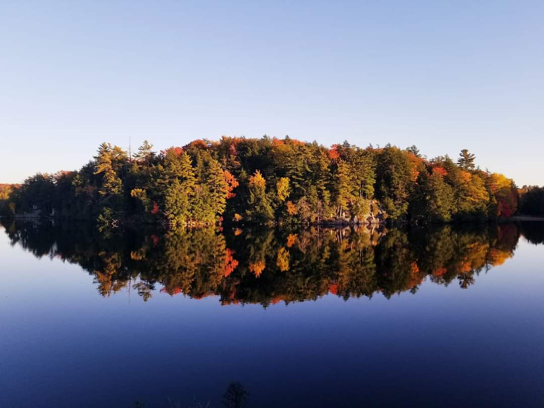 Lasting and meaningful reconciliation is an ongoing process and a shared responsibility for all of us. Our staff will be taking time to listen, learn, and reflect, and we invite all parks-lovers to join us🧡

blog.ontarioparks.ca/journey-toward… 

#NDTR #truthandreconciliationday