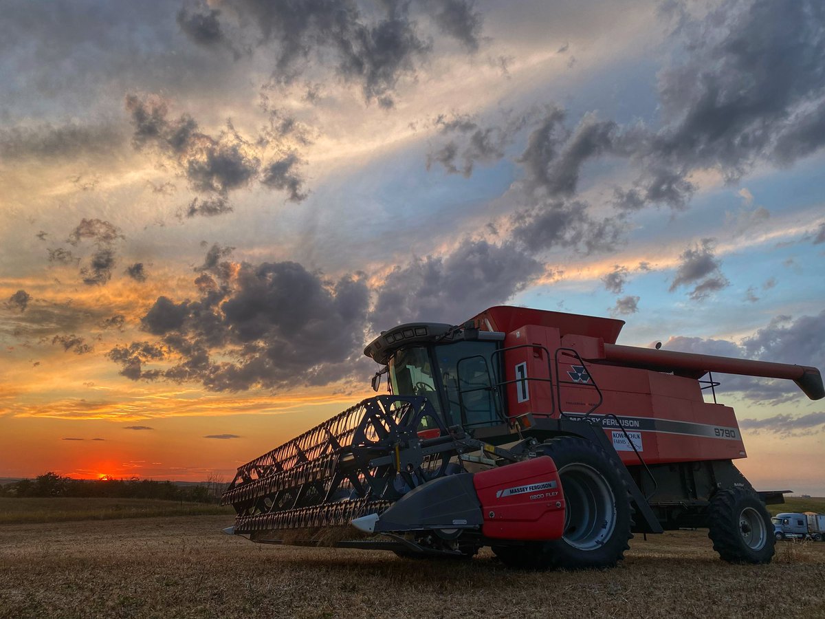 Why do you keep those combines around?

It’s not always like this but the repair costs on both the 9790 combines this harvest was one chopper belt!

Almost zero down time

And it’s their 19th birthday this year…