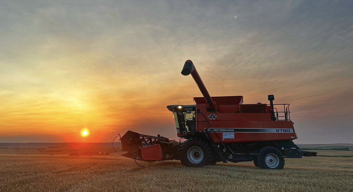 John Kowalchuk🧢 tweet media