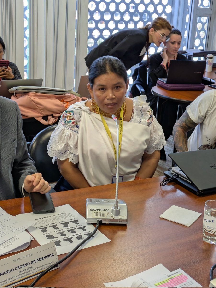 Soledad Perugachi, madre de Jeremy Lita, comparece ante la Comisión de Derechos Colectivos en la Asamblea Nacional. "Somos mindalaes, artesanos, agricultores, campesinos. No somos terroristas. Por eso demandamos la libertad inmediata de nuestros compañeros, de todos."
Jeremy