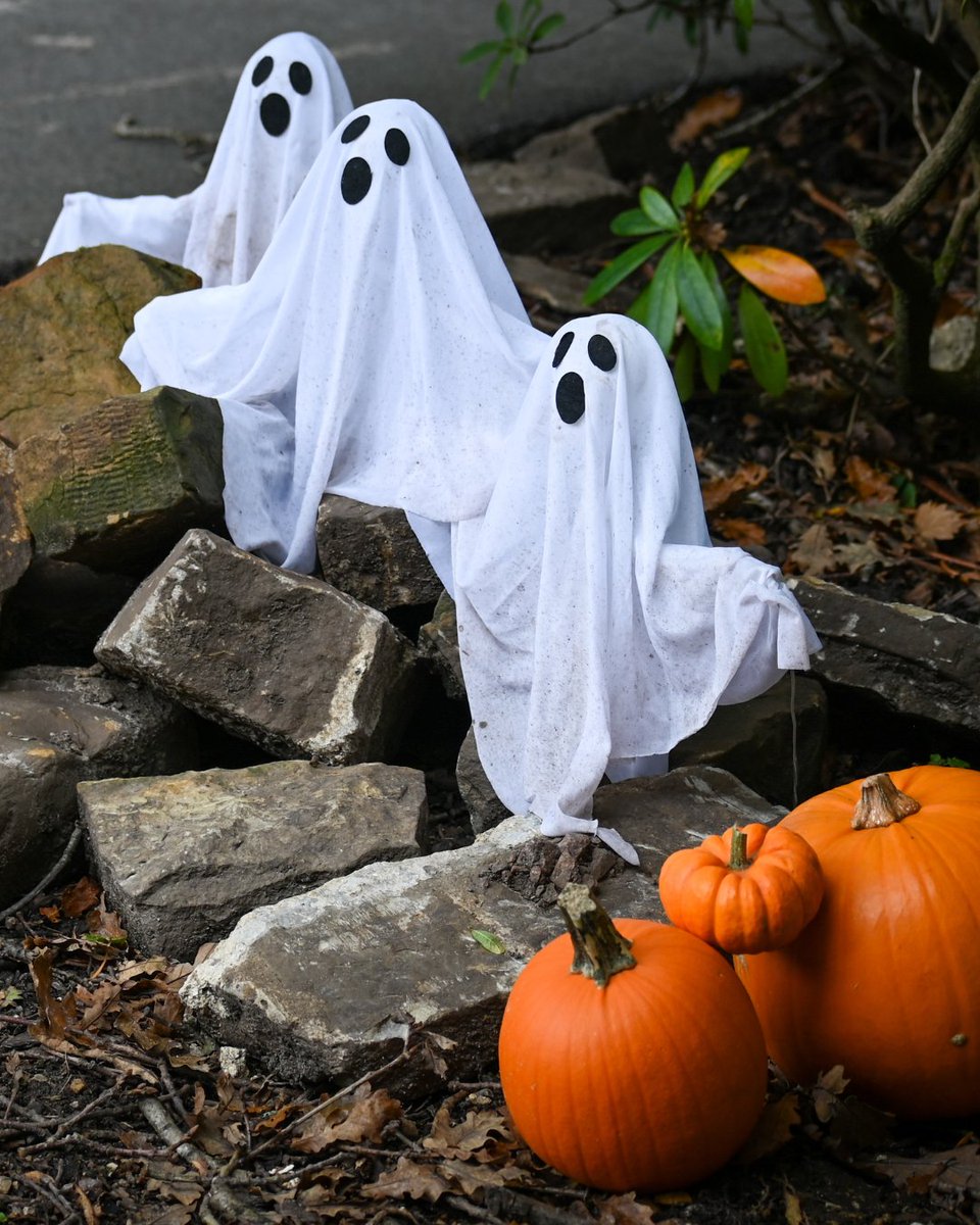Can you solve the mysteries of our haunted gardens? Join us from Oct 18 - Nov 2! 🕯️👻 #HalloweenTrail leonardsleegardens.co.uk/all-events/leo…