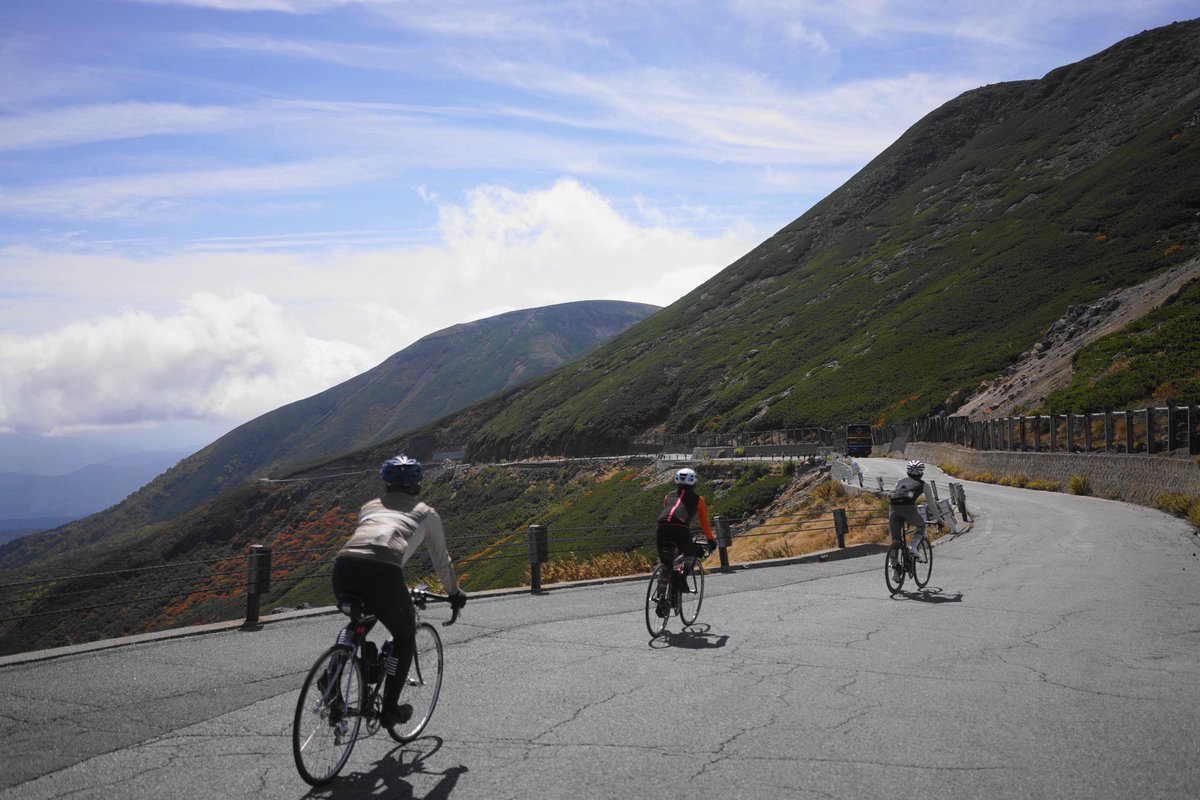 アキア tweet media