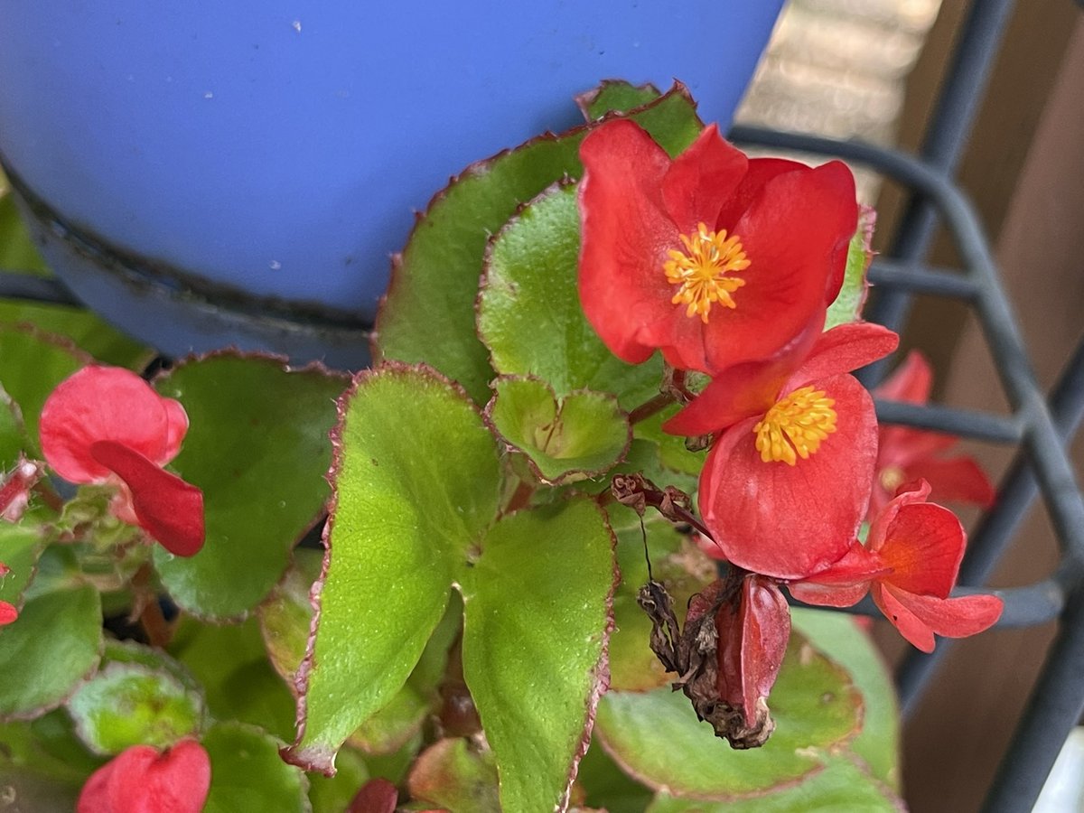 Do you ever wonder what song makes other people think about you?