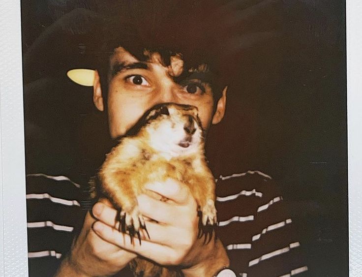 Spidery0s's tweet photo. @inkbur_ Literally any type of Polaroid picture https://t.co/o77EhkVlm1