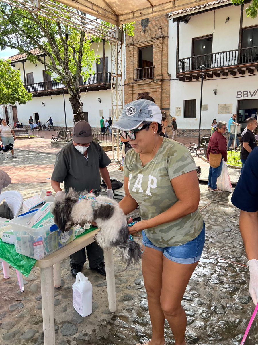 🐶🐱 ¡Cuidamos la salud de nuestros mejores amigos! 💉✨

En la Jornada Departamental de Vacunación contra la Rabia, logramos proteger a 142 animalitos 🐾:
✔️ Caninos: 64 (31 machos y 33 hembras)
✔️ Felinos: 78 (35 machos y 43 hembras)

🟢#SantaFedeAntioquiaEsRenovación