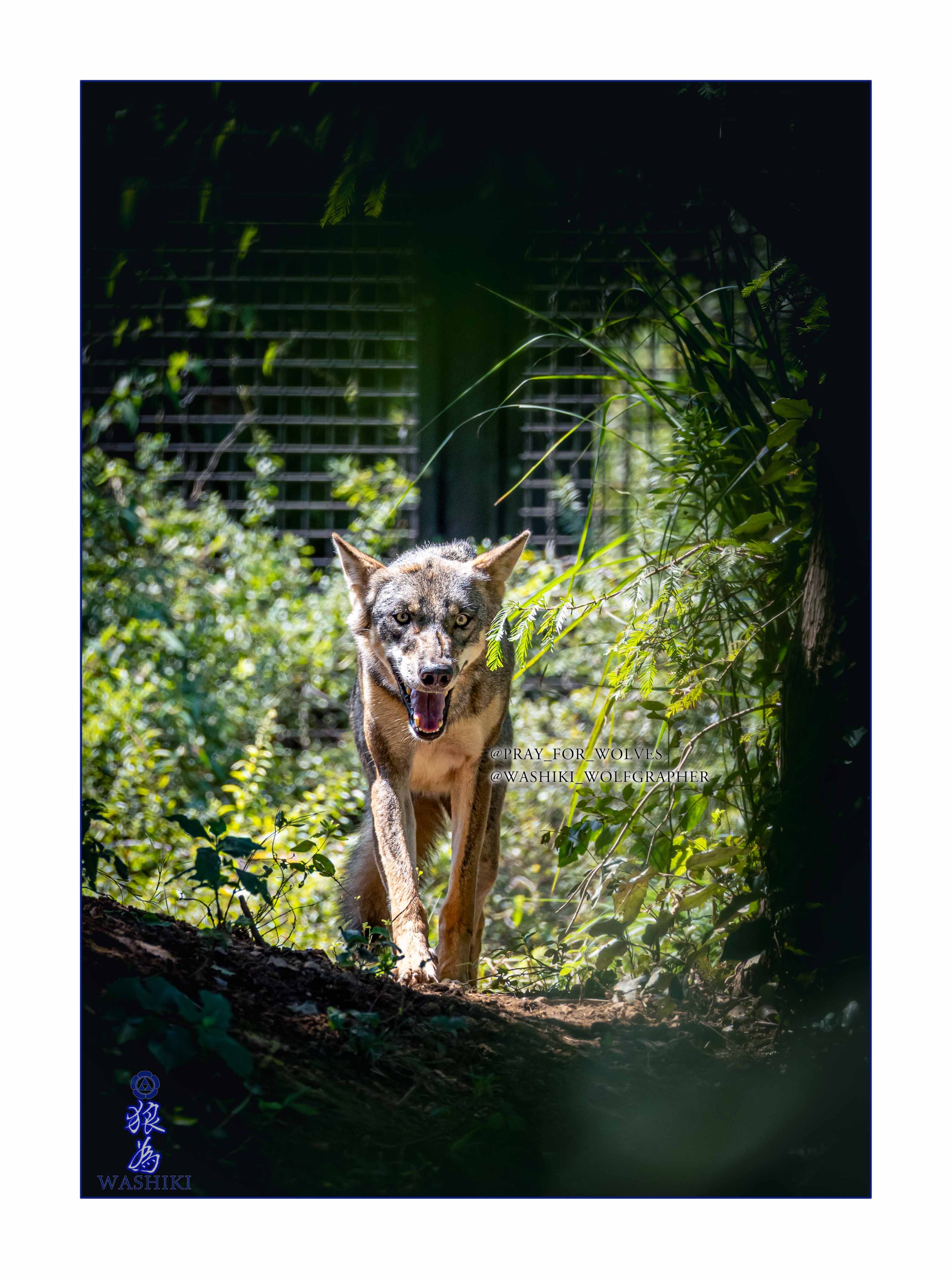 waccihさま ご確認用 ⚘.*˚ グッチ G-タイムレス メンズ YA1264107 |腕時計通販ブルーク