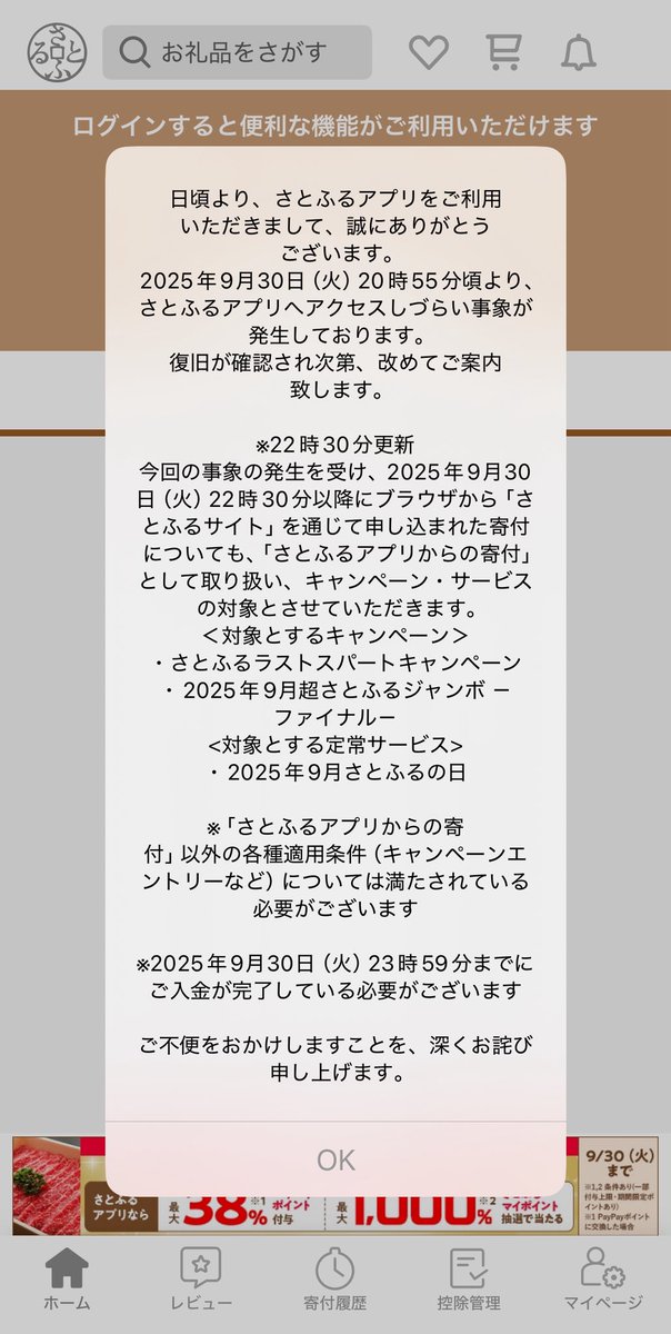 橋本れい tweet media