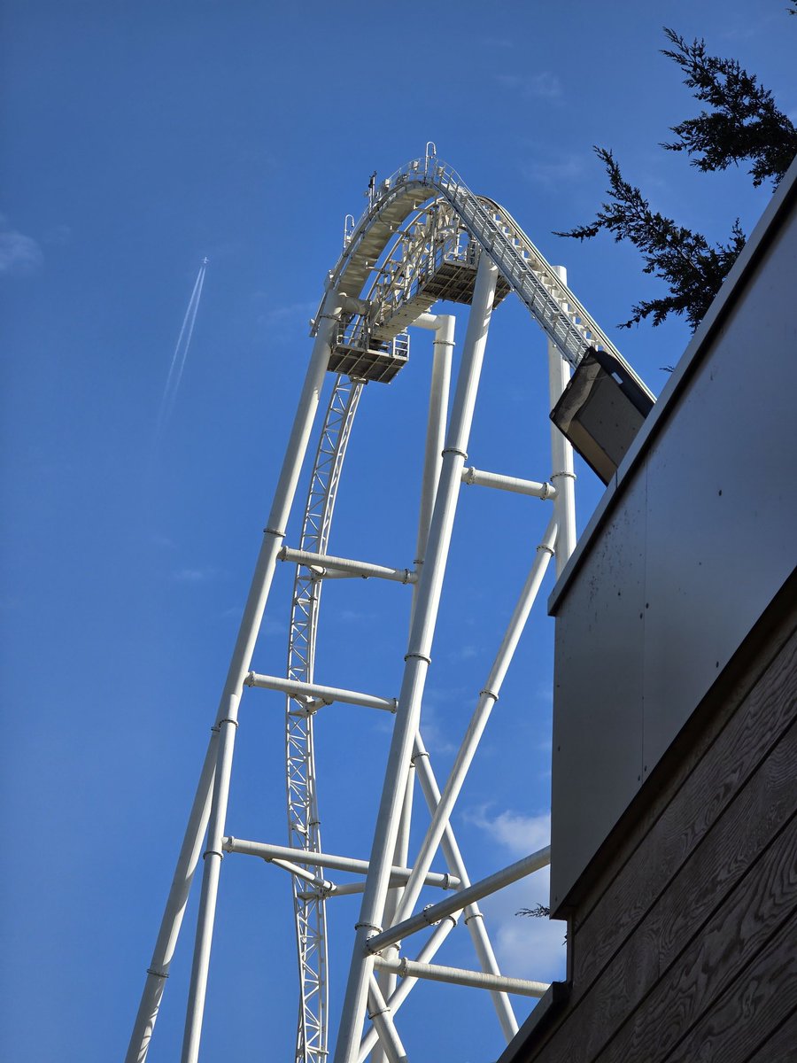 She's such a queen (who made me need paracetamol)