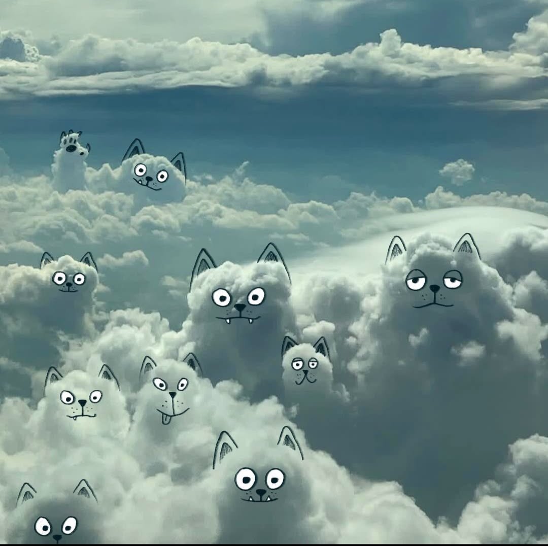 AlifMyesha's tweet image. $cloudify its not a only a ART but its memes to

Still early, cheap, and dip 
The movement Like a spark illusion of life or Dollo all in

DYOR

CA:
EW1Mu4F3ru6CRkh4GbDyWj94w7RR7PLfmfr4raQdNBmc

#cloudify
#clouds 
#solana
#SolanaMemeCoin 
#100x